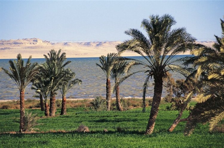 «الفيوم» .. جنة صحراء الفراعنة وعشاق السفاري