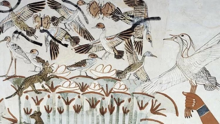 "شم النسيم".. حكاية أقدم عيد شعبي يحتفل به المصريون