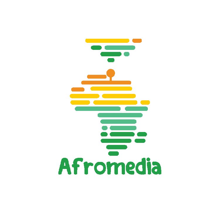 AfroMedia initiative