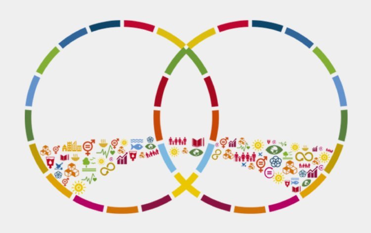 Nasser fellowship for International Leadership in its third edition, endeavors to empower developing countries