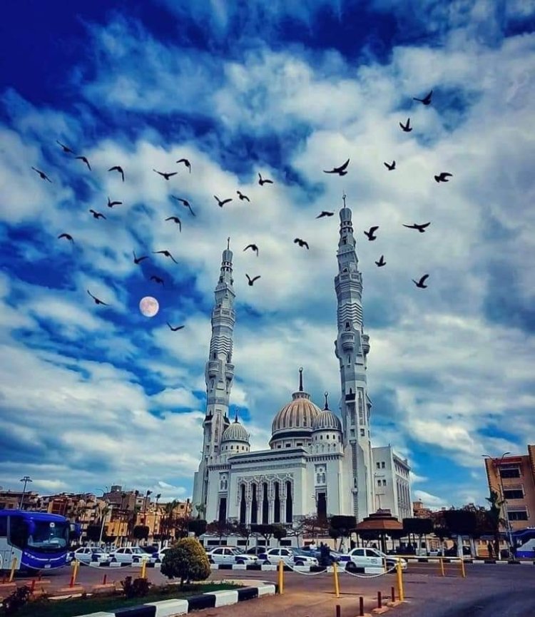 "بورفؤاد".. مدينة فرنسية على أرض مصرية