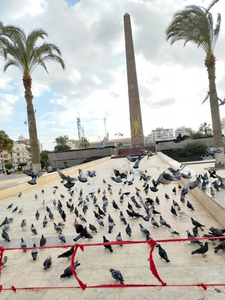 Port Said...The Martyred City