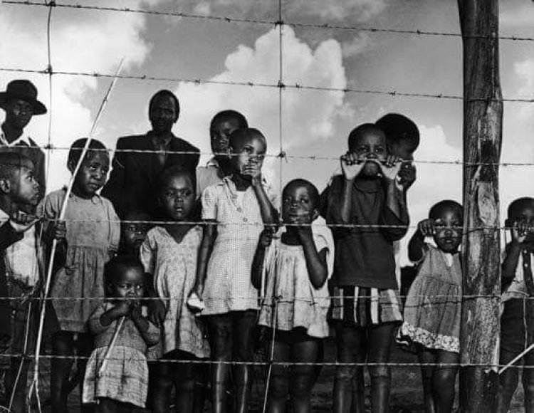 Gamal Abdul Nasser and South Africa revolution