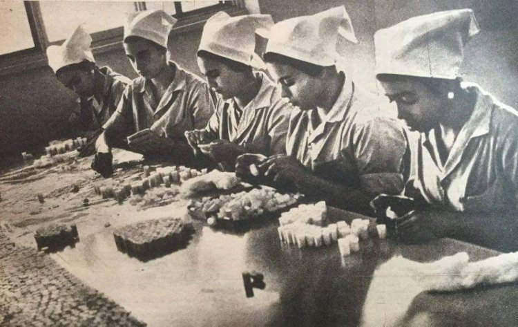 شركة النصر للكيماويات الدوائية... نواة مدينة الدواء المصرية