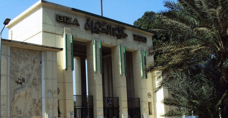 Mbuga ya Wanyama huko Giza ni Mbuga ya pili Duniani