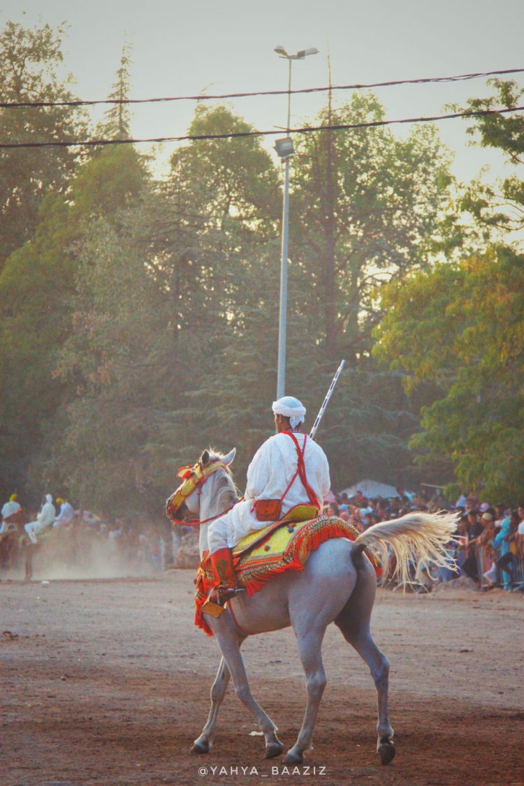 "Younis Aouin", graduado de Nasser Fellowship Internacional en Egipto, organiza Festival "Thamazirth" en su ciudad de Emuzar Kandar - Marruecos