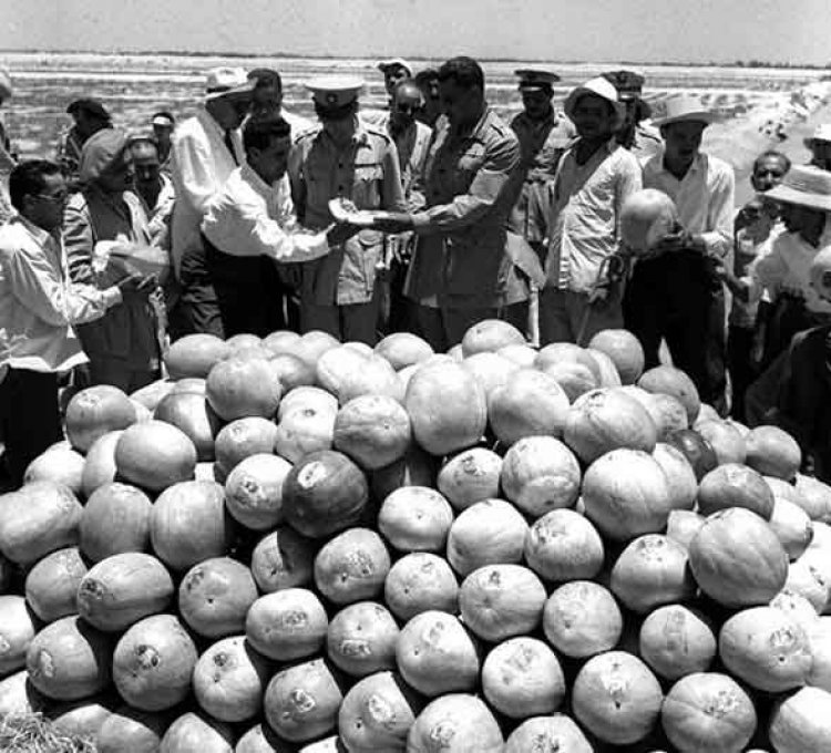 مديرية التحرير... نواة حلم ناصر لبناء مصر العظمى