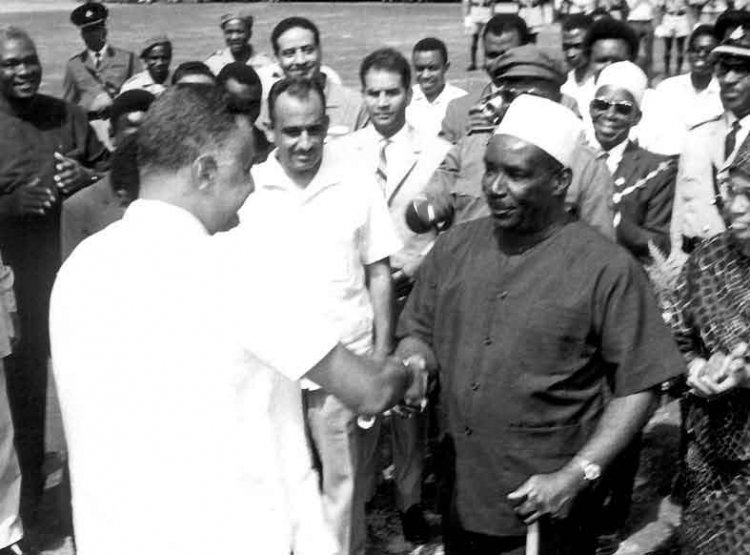 جولات الرئيس جمال عبدالناصر في  تنزانيا عام ١٩٦٦
