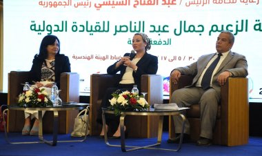 Membre du comité académique de la Bourse Nasser pour le leadership international  au sein du conseil d'administration de l'Egyptian Geographical Society