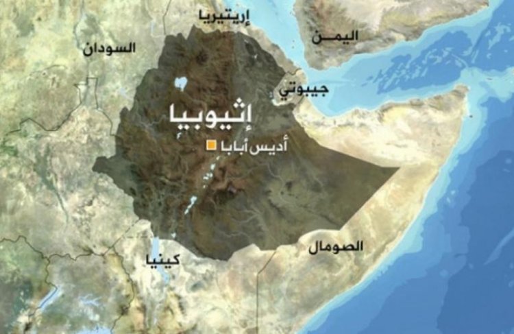 المفكر الكبير حلمي شعراوي يكتب: القرن الإفريقى والبحر الأحمر...إلى أين؟