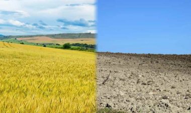 Athari za mabadiliko ya hali ya hewa juu ya Usalama wa chakula