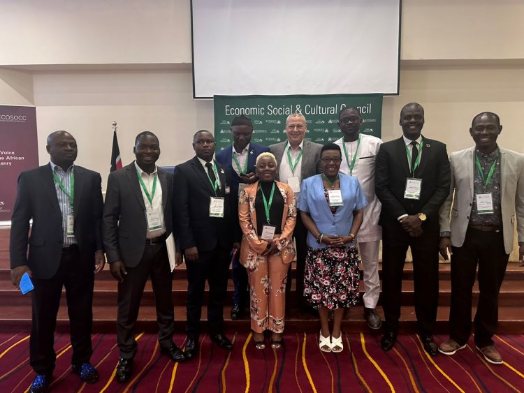 Miembro de Movimiento Juvenil Nasser de Chad como Jefe de Recursos Humanos del Consejo Económico y Social de la Unión Africana