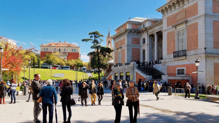 الدكتور سعيد البطوطي يكتب: إدارة السياحة الثقافية