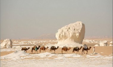 Al-Wady Al-Gadid le gouvernorat dont le soleil ne se couche jamais