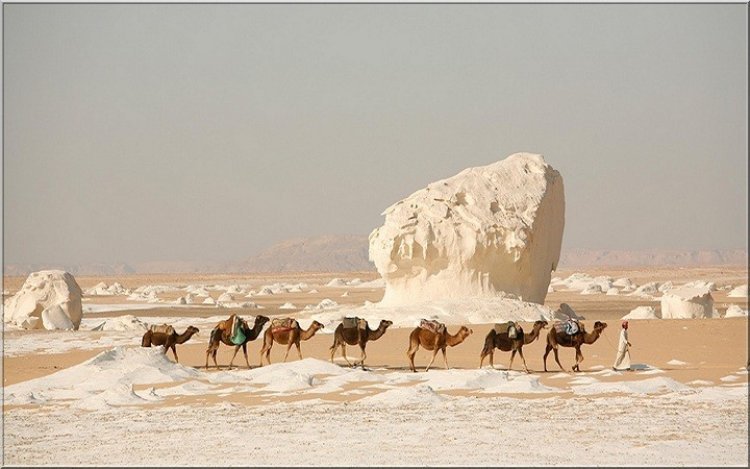 Al-Wady Al-Gadid le gouvernorat dont le soleil ne se couche jamais
