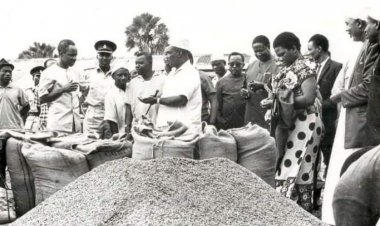 Vyama vya Ushirika vya Ujamaa nchini Tanzania