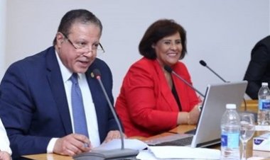 Le Conseil suprême de la culture accueille les fils de Nasser  pour le leadership africain