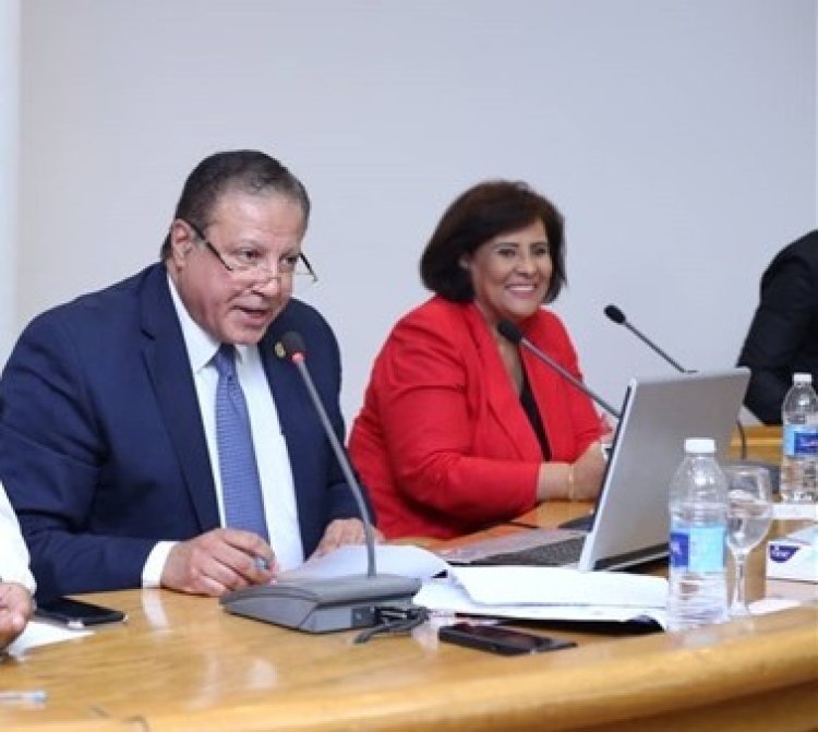 Le Conseil suprême de la culture accueille les fils de Nasser  pour le leadership africain