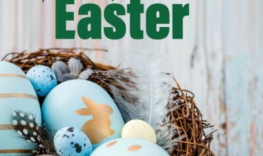 Cham el-Nessim fête nationale rassemble et unit tous les égyptiens