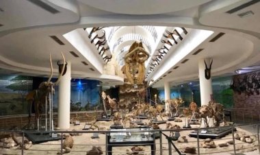 Le Zoo de Gizeh : le deuxième plus ancien zoo du monde