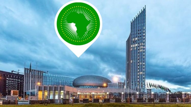 The African Union Internship Program
