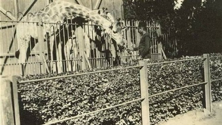 Le Zoo de Gizeh : le deuxième plus ancien zoo du monde