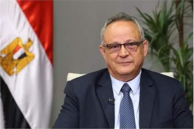 Prof. Ahmed Abdullah Zayed... Director de la Biblioteca de Alejandría
