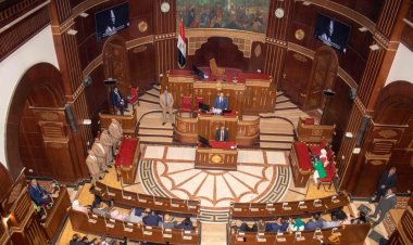 Nasser Fellowship for International Leadership youth visit the House and Senate