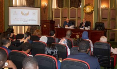 Nasser Fellowship for International Leadership at the Egyptian Ministry of Foreign Affairs