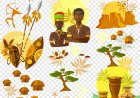 Mkazo wa Tajiri wa Utamaduni