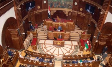 Les jeunes leaders de la Bourse Nasser pour le leadership international en visite à la Chambre des députés et au Sénat égyptiens