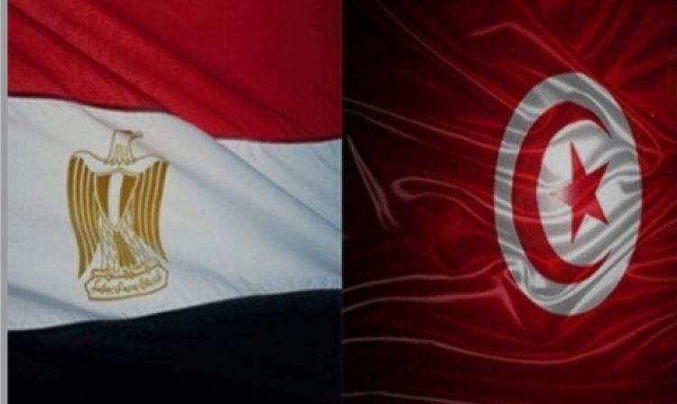 العلاقات الاقتصادية الثنائية بين جمهورية مصر العربية والجمهورية التونسية