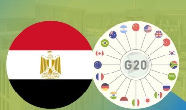 Egypt and the G20