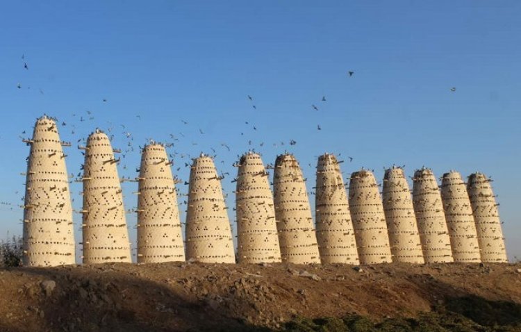 «Al Fayum» ... El paraíso del desierto de los faraones y los amantes del safari