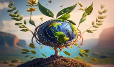 حكاية أرض .. عنصر الأرض ككيان مقدس في الثقافة الفلسطينية