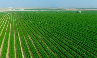 El Beheira: The Land of Abundance