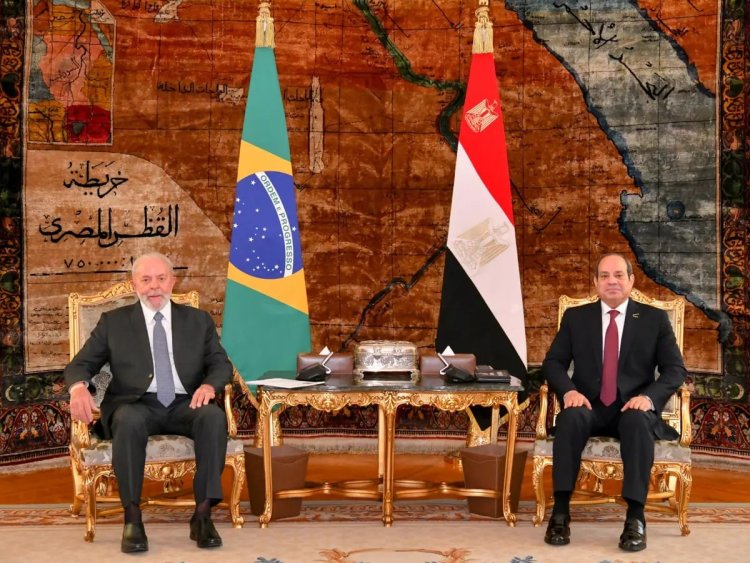 آفاق وتحديات العلاقات المصرية البرازيلية