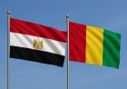 Les relations bilatérales entre l’Égypte et la Guinée Conakry