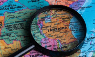 Nafasi ya Lugha ya Kiswahili Katika Kukuza Maendeleo ya Tanzania: Kati ya Urithi na Uvumbuzi