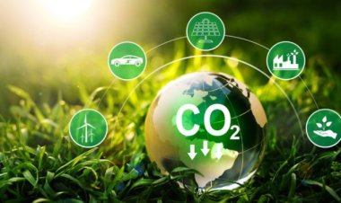 Jukumu la Uchumi wa Kijani katika Kuongeza Uwekezaji