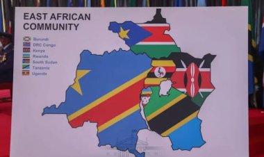 Lugha ya Kiswahili Inavyoweza Kukuza Diplomasia ya Uchumi kwa Nchi za Jumuiya ya Afrika Mashariki