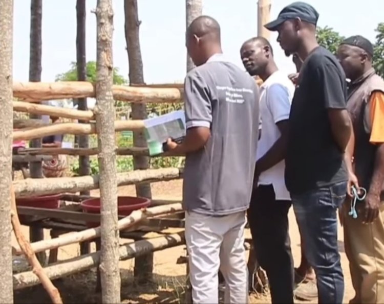 Hadithi ya Mafanikio Inayowahamasisha Wafugaji wa Tanzania Kuelekea Uchumi Imara Zaidi