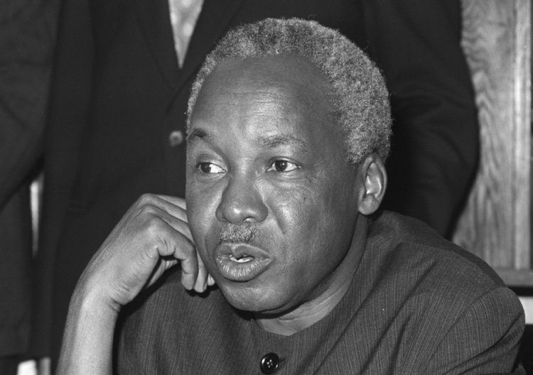 Watu Mashuhuri wa Misri na Afrika: Mifano ya Uongozi na Ushawishi