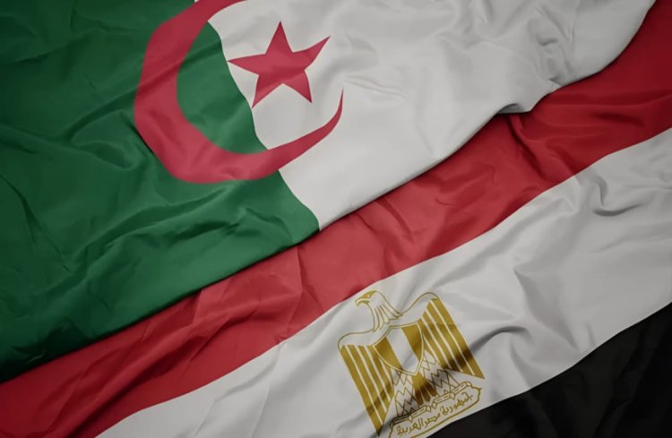 1 نوفمبر.. مصر والجزائر شراكة استراتيجية من التاريخ إلى المستقبل الإفريقي