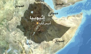 The Great Intellectual Helmi Sharawy Writes: The Future of the Horn of Africa and the Red Sea