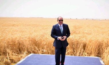 الدلتا الجديدة: شريان جديد للتنمية يعيد رسم خريطة الأمن الغذائي ومستقبل الإنتاج في مصر