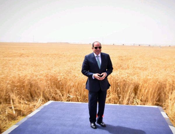 الدلتا الجديدة: شريان جديد للتنمية يعيد رسم خريطة الأمن الغذائي ومستقبل الإنتاج في مصر